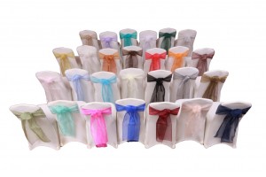 organza_sashes1-300x200.jpg